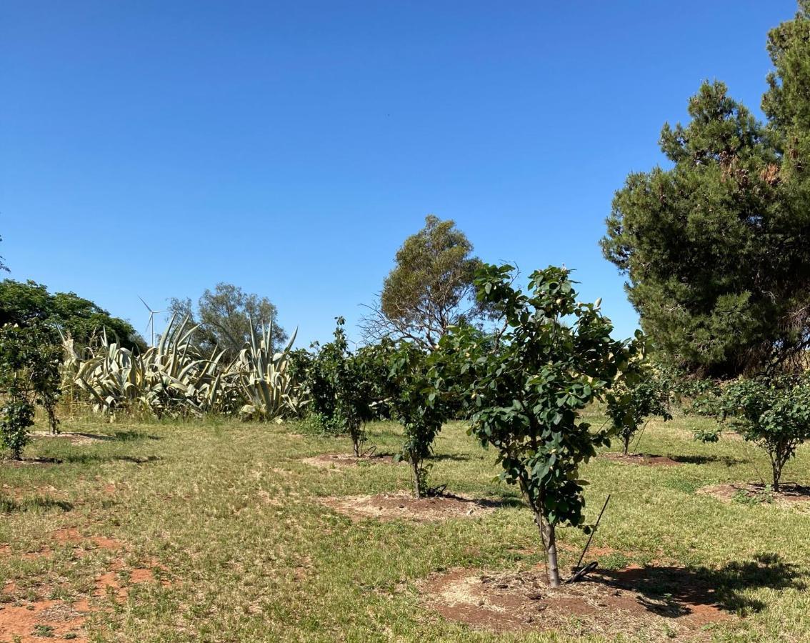 Villa Belalie Wines Jamestown Exterior foto